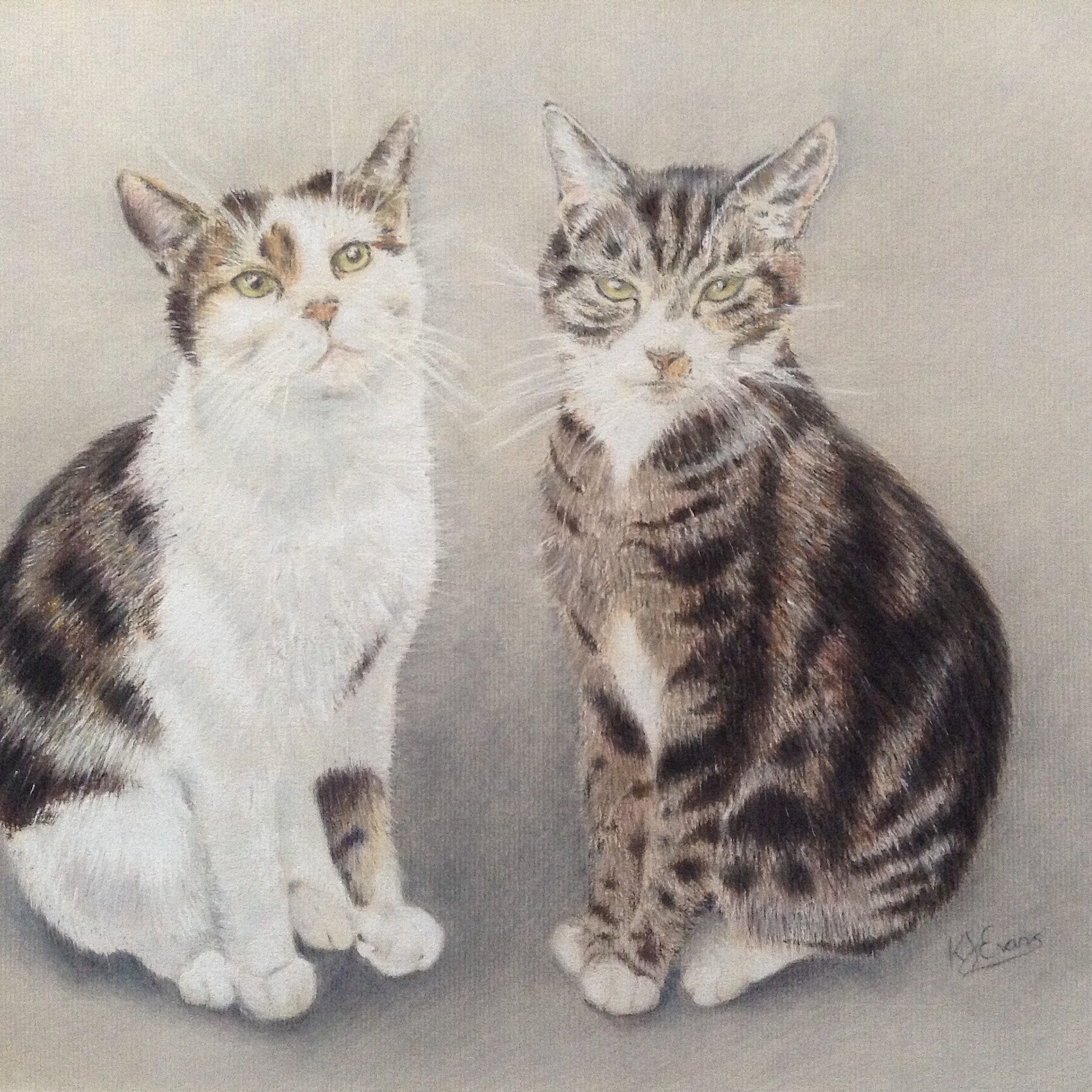 Pet Portrait Commissions Merseyside