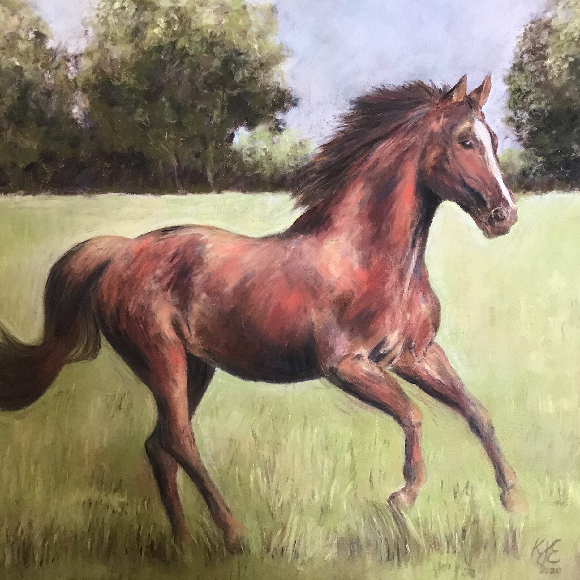 Pastel Running Horse Pet Portrait Commissions from Photos Merseyside