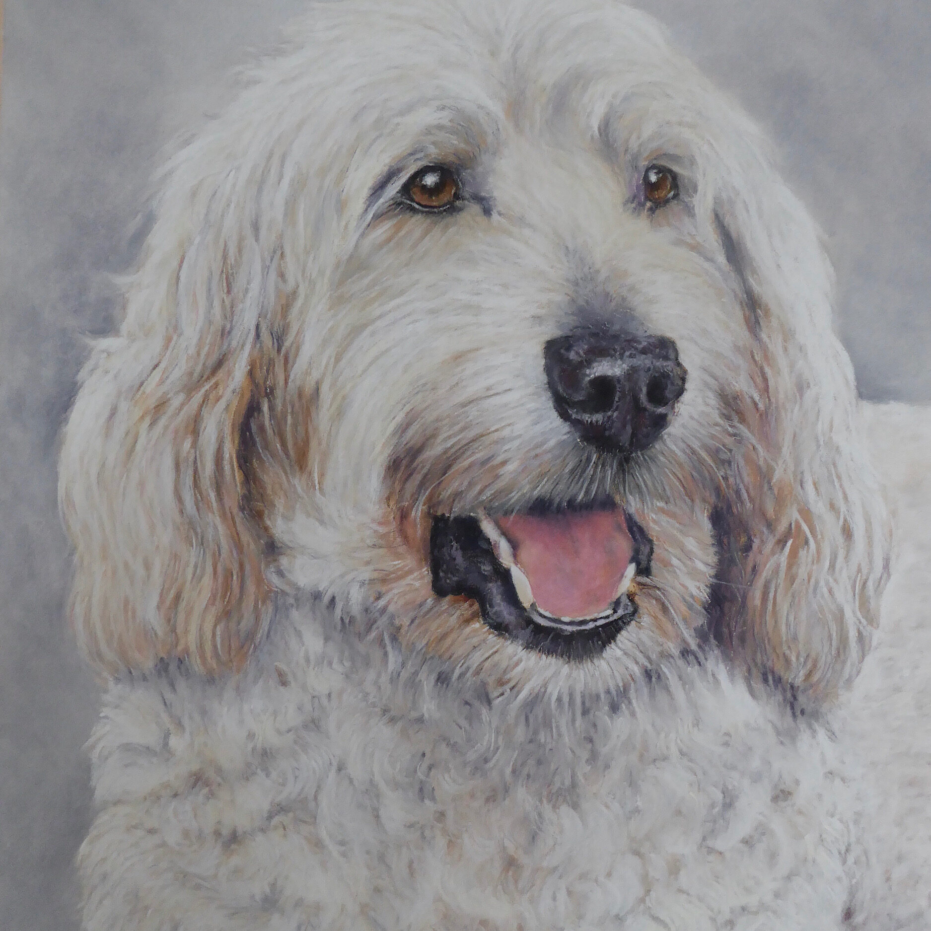 Pastel Dog Portrait Commissions From Photos Merseyside