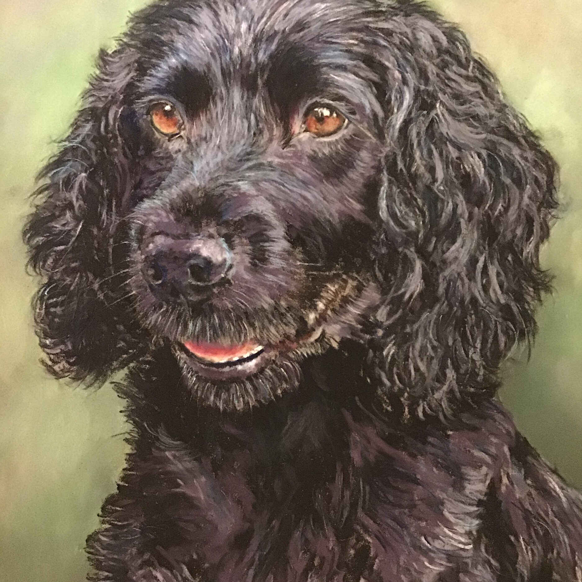 Black Spaniel Pastel Pet Portrait