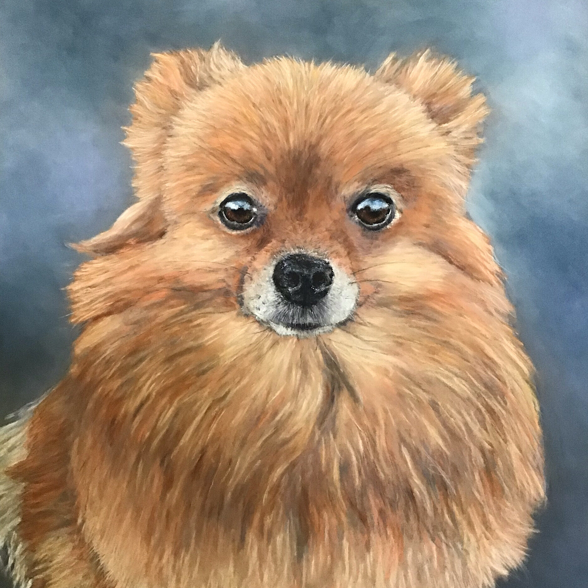Pastel Dog Portrait Commisions from Photos